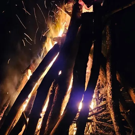 Wataha Pod Basztami - Beta - Caloroczne *