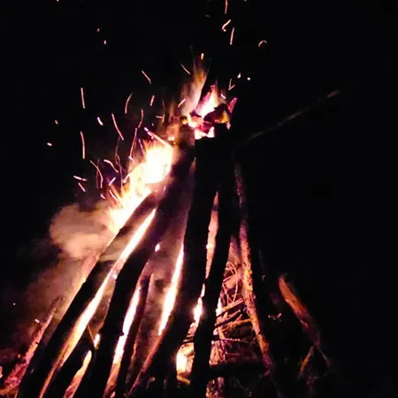 Wataha Pod Basztami - Beta - Caloroczne