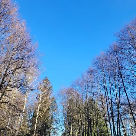 Wataha Pod Basztami - Beta - Caloroczne 公寓 拉德库夫