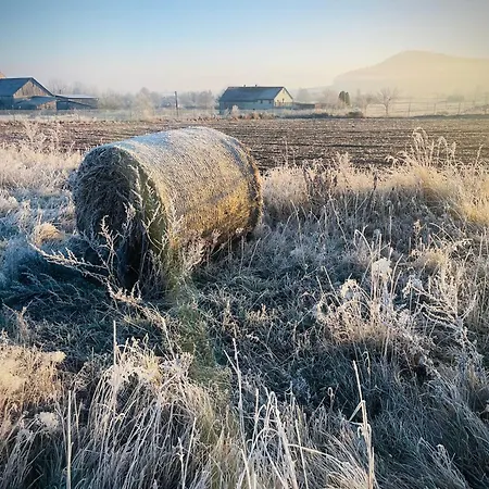 Appartement Wataha Pod Basztami - Beta - Caloroczne *