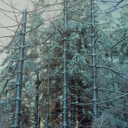 Appartement Wataha Pod Basztami - Beta - Caloroczne