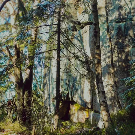 Wataha Pod Basztami - Beta - Caloroczne Radkow