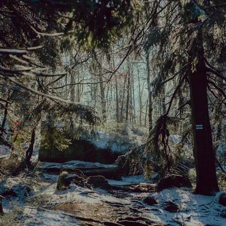 Appartement Wataha Pod Basztami - Beta - Caloroczne