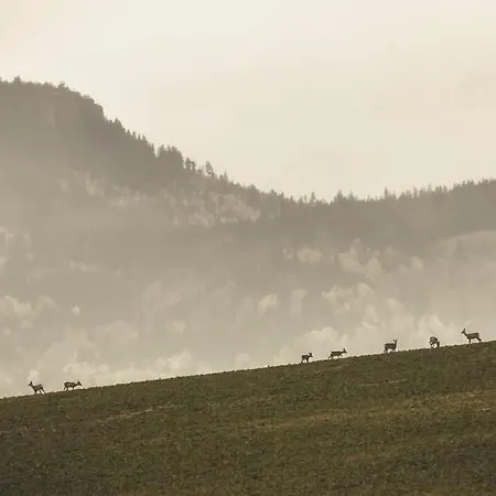Appartement Wataha Pod Basztami - Beta - Caloroczne *