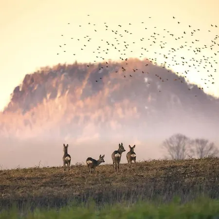 Wataha Pod Basztami - Beta - Caloroczne Appartement