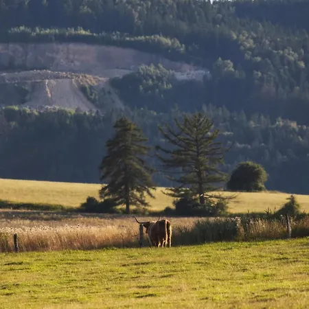 Appartement Wataha Pod Basztami - Beta - Caloroczne *