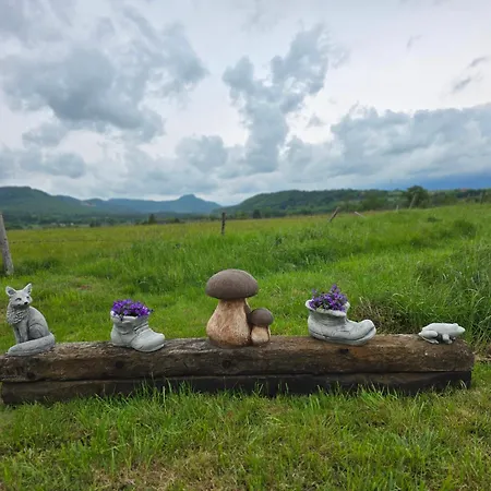 Appartement Wataha Pod Basztami - Beta - Caloroczne *