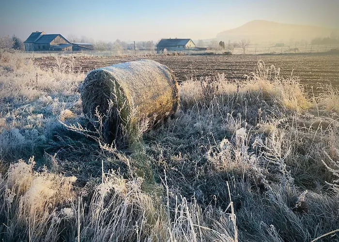 아파트 Wataha Pod Basztami - Beta - Caloroczne *