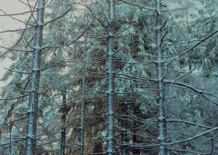 아파트 Wataha Pod Basztami - Beta - Caloroczne