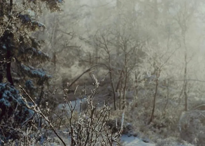 Wataha Pod Basztami - Beta - Caloroczne * 라트코프