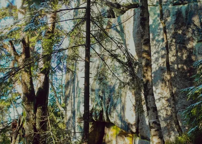 Wataha Pod Basztami - Beta - Caloroczne 라트코프