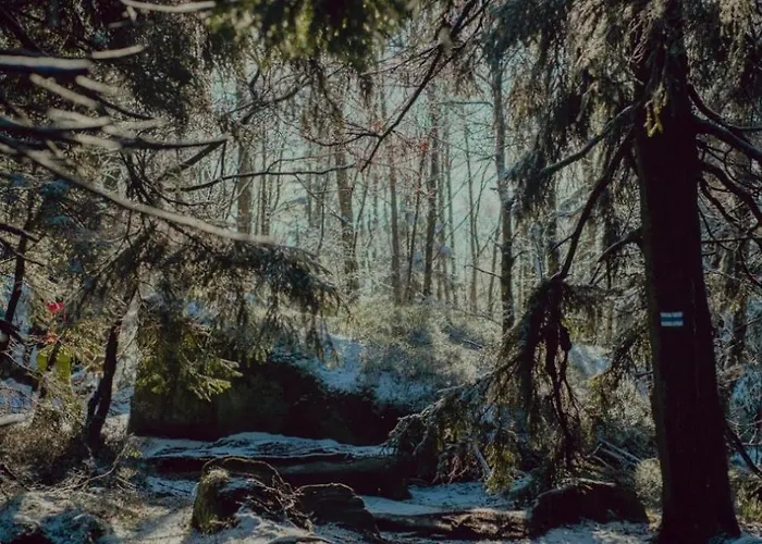 아파트 Wataha Pod Basztami - Beta - Caloroczne