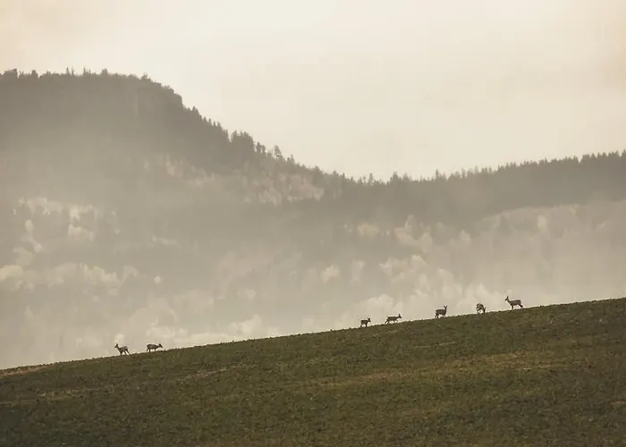 아파트 Wataha Pod Basztami - Beta - Caloroczne *