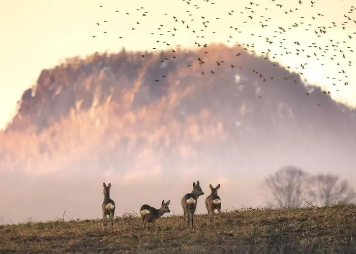 Wataha Pod Basztami - Beta - Caloroczne 아파트