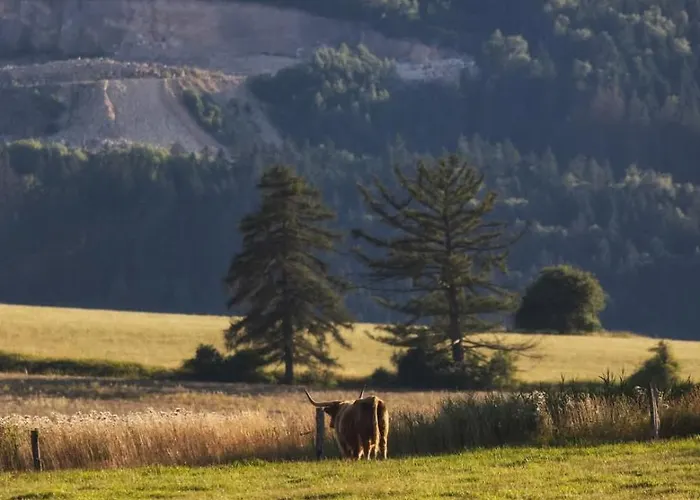 아파트 Wataha Pod Basztami - Beta - Caloroczne *